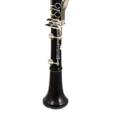 Backun Model BCLBPROTG-SKGE Bb Clarinet in Grenadilla SN PR4608 OPEN BOX