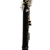 Backun Model BCLBPROTG-SKGE 'Protege' Bb Clarinet SN PR4612 OPEN BOX