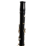 Backun Model BCLBPROTG-SKGE 'Protege' Bb Clarinet SN PR4612 OPEN BOX