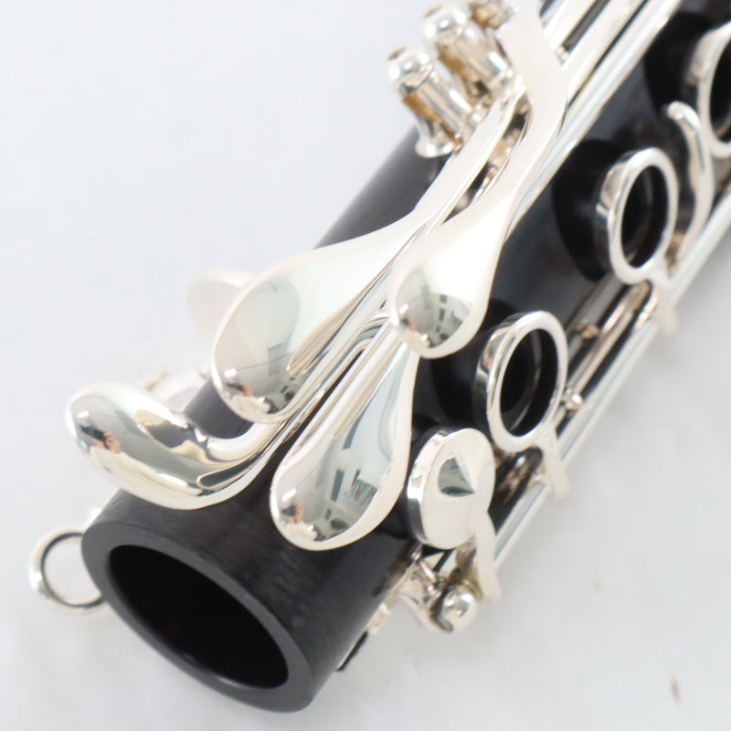 Backun Model BCLBQG-SKE Q-Series Professional Bb Clarinet BRAND NEW- for sale at BrassAndWinds.com