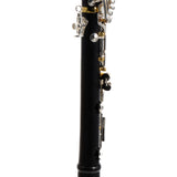 Backun 'Protege' Bb Clarinet SN PR4612 OPEN BOX