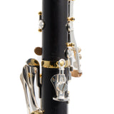 Backun 'Protege' Bb Clarinet SN PR4612 OPEN BOX