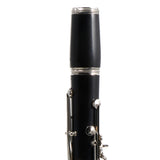 Buffet Crampon R13 'Greenline' Professional Bb Clarinet SN 591845 FRESH OVERHAUL