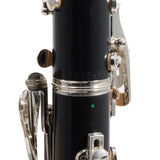 Buffet Crampon R13 'Greenline' Professional Bb Clarinet SN 591845 FRESH OVERHAUL
