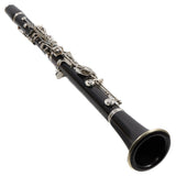 Buffet Crampon R13 'Greenline' Professional Bb Clarinet SN 591845 FRESH OVERHAUL