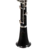 Buffet Crampon R13 'Greenline' Professional Bb Clarinet SN 591845 FRESH OVERHAUL