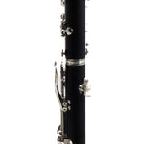 Buffet Crampon R13 'Greenline' Professional Bb Clarinet SN 591845 FRESH OVERHAUL