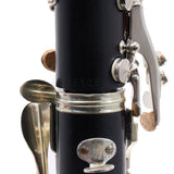 Buffet Crampon R13 Professional Bb Clarinet SN 51580/533608 FRESH OVERHAUL