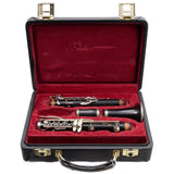Buffet Crampon R13 Professional Bb Clarinet SN 51580/533608 FRESH OVERHAUL