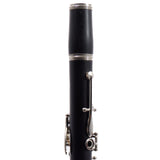 Buffet Crampon R13 Professional Bb Clarinet SN 51580/533608 FRESH OVERHAUL