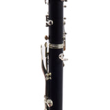 Buffet Crampon R13 Professional Bb Clarinet SN 51580/533608 FRESH OVERHAUL