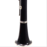 Buffet Crampon R13 Professional Bb Clarinet SN 530869 FRESH OVERHAUL