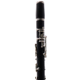 Buffet Crampon RC Prestige Basset Clarinet in A