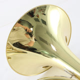 C.G. Conn Model 10DY 'CONNstellation' Professional French Horn SN 646837 OPEN BOX- for sale at BrassAndWinds.com