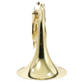 C.G. Conn Model 11DN Professional Geyer Wrap French Horn SN 657592 SUPERB