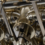 C.G. Conn Model 8D Professional Double French Horn SN 661458 SUPERB