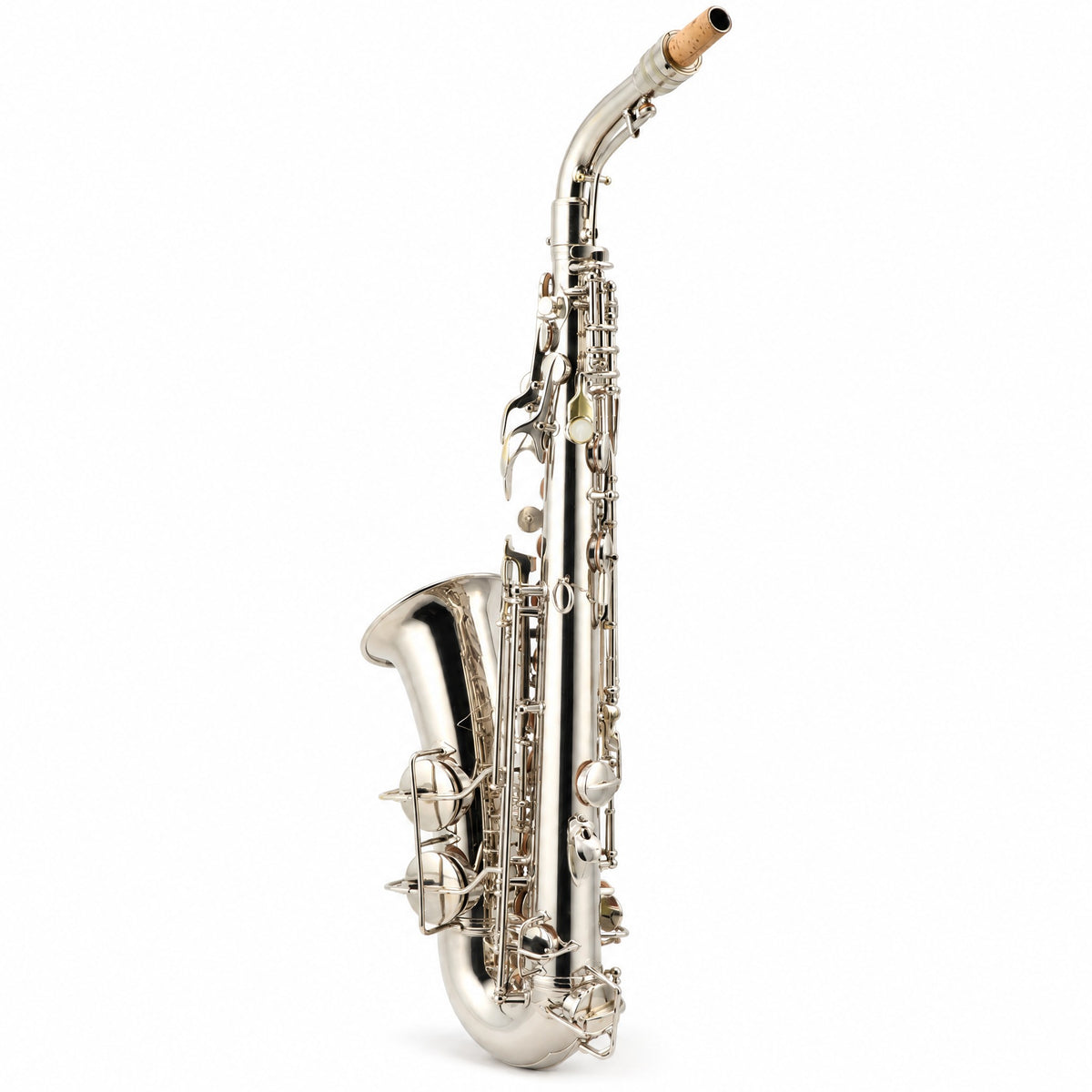C.G. Conn Transitional Professional Alto Saxophone in Silver Plate