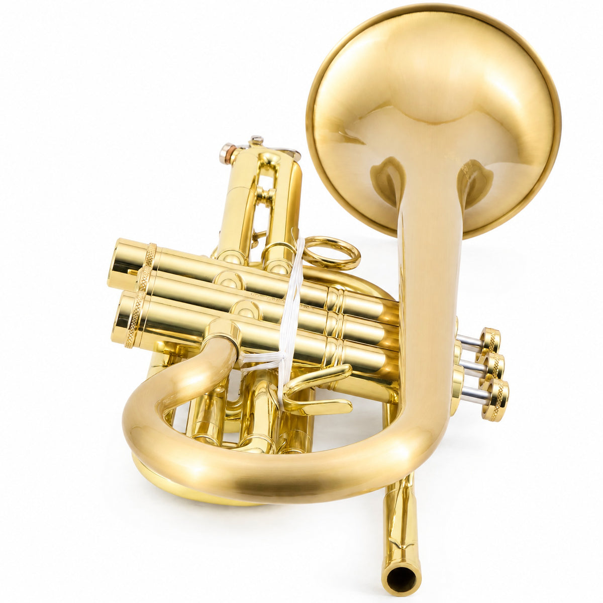 CarolBrass 3880G Professional Bb Cornet in Satin Brass