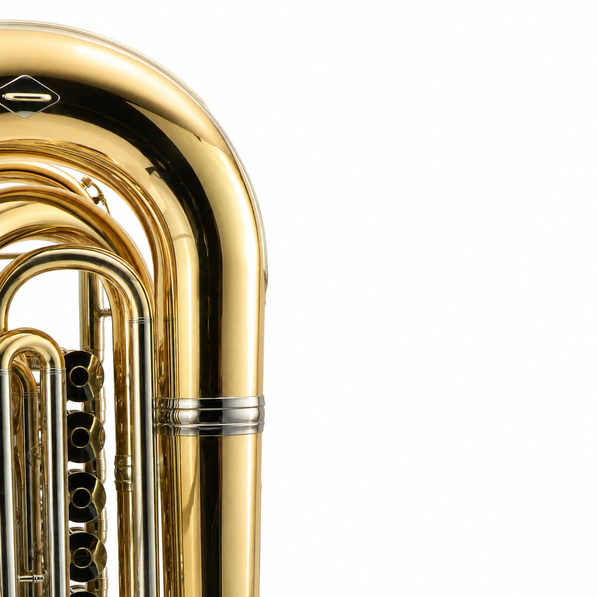 Eastman EBB825VG Professional 5/4 BBb Tuba in Gold Brass
