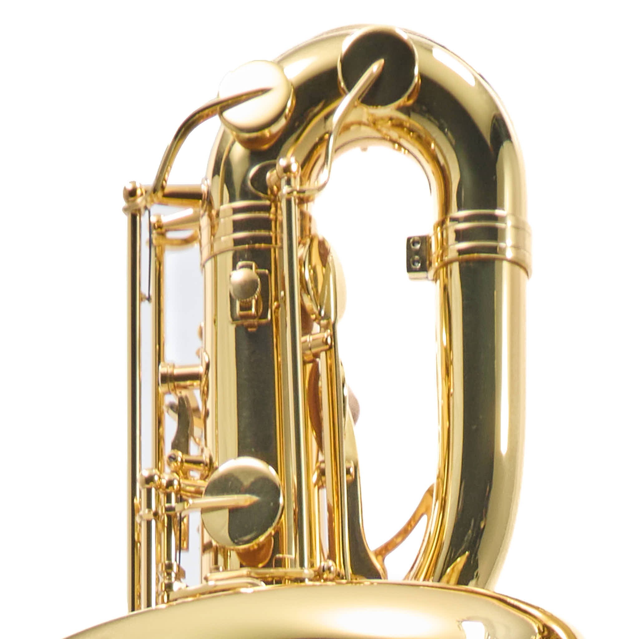Eastman EBS453 Performance Low A Baritone Saxophone