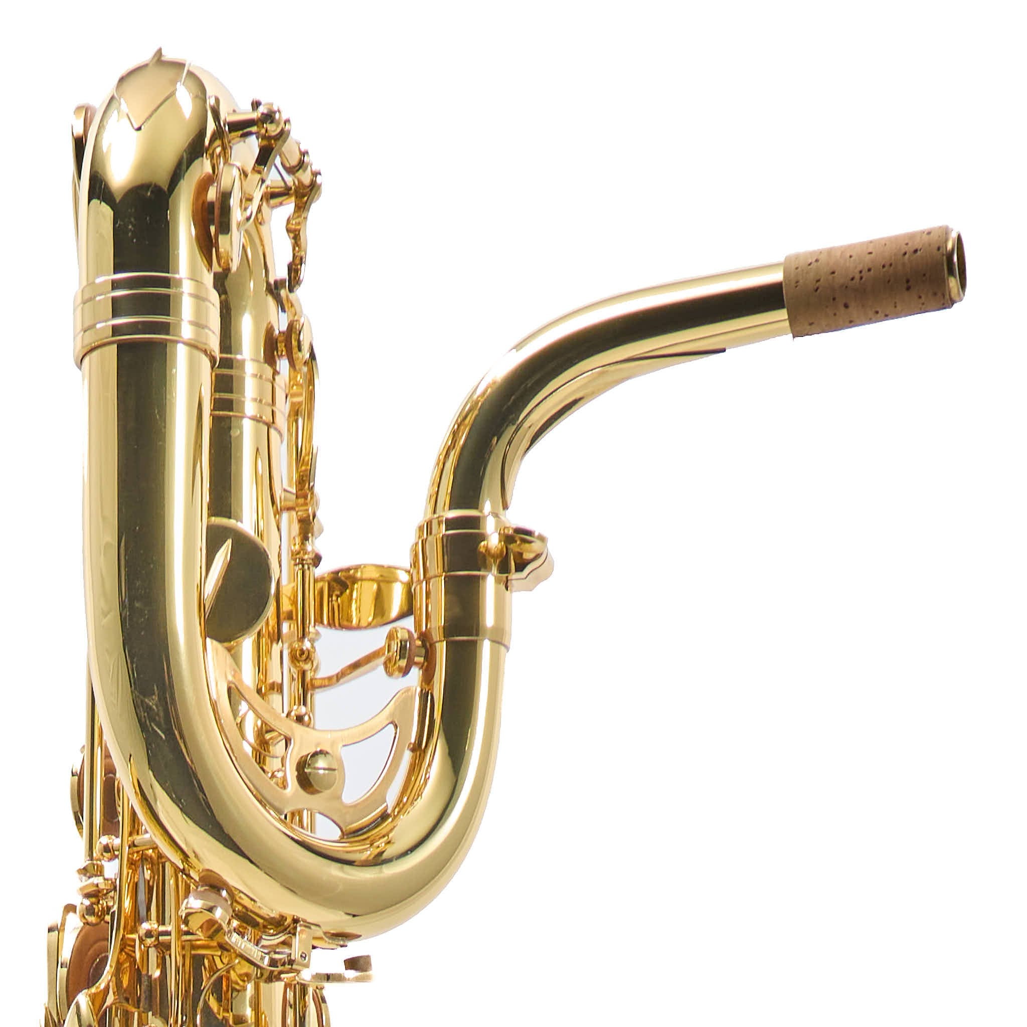 Eastman EBS453 Performance Low A Baritone Saxophone