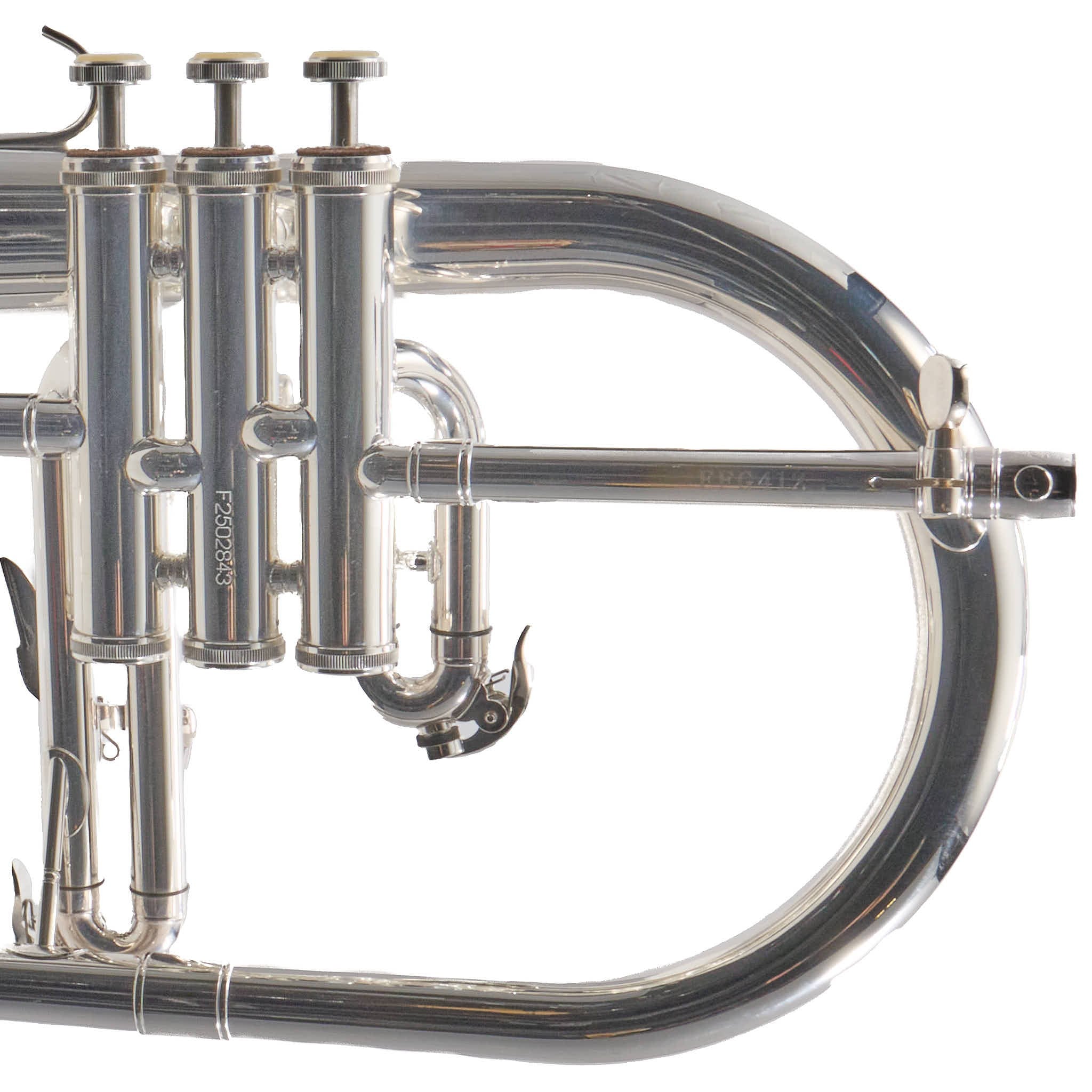 Eastman EFG412S Student Flugelhorn in Silver Plate