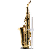 Eastman Model EAS451 Performance Alto Saxophone