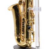 Eastman Model EAS451 Performance Alto Saxophone