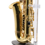 Eastman Model EAS451 Performance Alto Saxophone