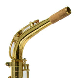 Eastman Model EAS451 Performance Alto Saxophone SN A2000363 OPEN BOX