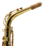 Eastman Model EAS451 Performance Alto Saxophone SN A2201759 OPEN BOX