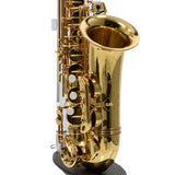 Eastman Model EAS451 Performance Alto Saxophone SN A2201759 OPEN BOX