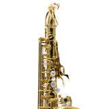 Eastman Model EAS650 'Rue Saint-Georges' Alto Saxophone SN A2440030 OPEN BOX