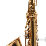 Eastman Model EAS850 'Rue Saint-Georges' Alto Saxophone SN A2440178 OPEN BOX