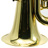 Eastman Model EBB562 Professional 4/4 Rotary Valve BBb Tuba SN Y2500822