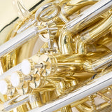 Eastman Model EBC832 Professional 4/4 CC Tuba SN Y2500276 OPEN BOX