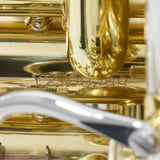 Eastman Model EBC832 Professional 4/4 CC Tuba SN Y2600269 OPEN BOX