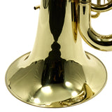 Eastman Model EBC836 Professional 6/4 CC Tuba SN Y2000977 OPEN BOX