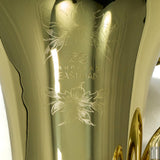 Eastman Model EBC836 Professional 6/4 CC Tuba SN Y2000977 OPEN BOX