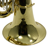 Eastman Model EBC836 Professional 6/4 CC Tuba SN Y2000977 OPEN BOX