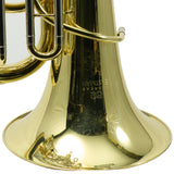 Eastman Model EBE853 Professional 4/4 Compensating EEb Tuba