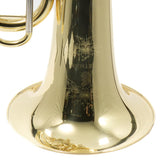 Eastman Model EBF866 Professional F Tuba SN Y2301060 OPEN BOX