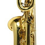 Eastman Model EBS650 'Rue Saint George' Baritone Saxophone SN A2590036 OPEN BOX