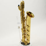 Eastman Model EBS650 'Rue Saint-Georges' Low A Baritone Saxophone MINT CONDITION