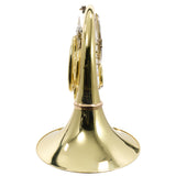 Holton Model H280 'Farkas' Professional Double French Horn SN 650768 REFURBISHED