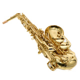 Jupiter Model JAS1100Q Intermediate Alto Saxophone SN CF04058 OPEN BOX