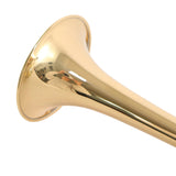 Jupiter XO Model 1624RL Professional C Trumpet MINT CONDITION