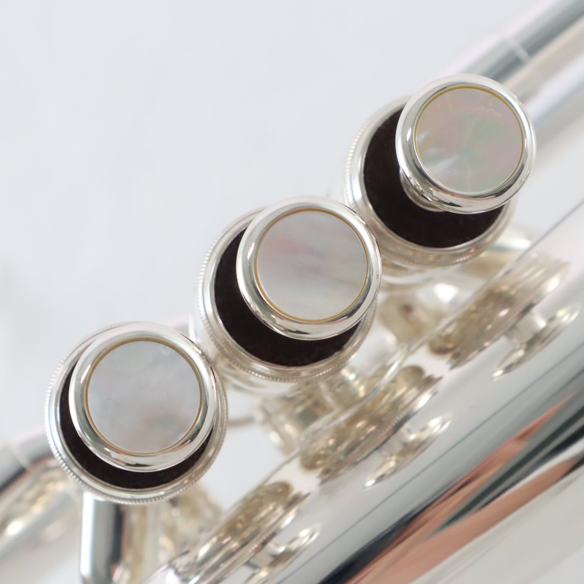 Jupiter XO Model 1646RS Professional Flugelhorn