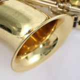 King Super 20 Professional Alto Saxophone with Silver and Brass Necks SN 531167 EXCELLENT