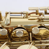 King Super 20 Professional Alto Saxophone with Silver and Brass Necks SN 531167 EXCELLENT